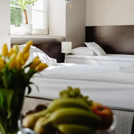 Wieniawa Parking I Sniadanie W Cenie! Breakfast And Parking Included! Leszno (Greater Poland)