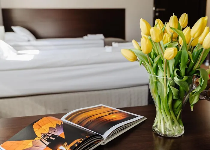 Bed & Breakfast Wieniawa