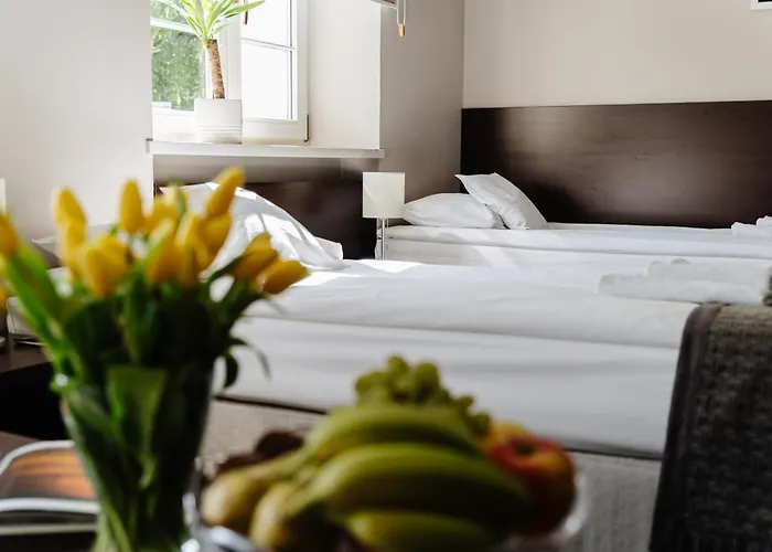 Wieniawa Parking I Sniadanie W Cenie! Breakfast And Parking Included! Leszno (Greater Poland)